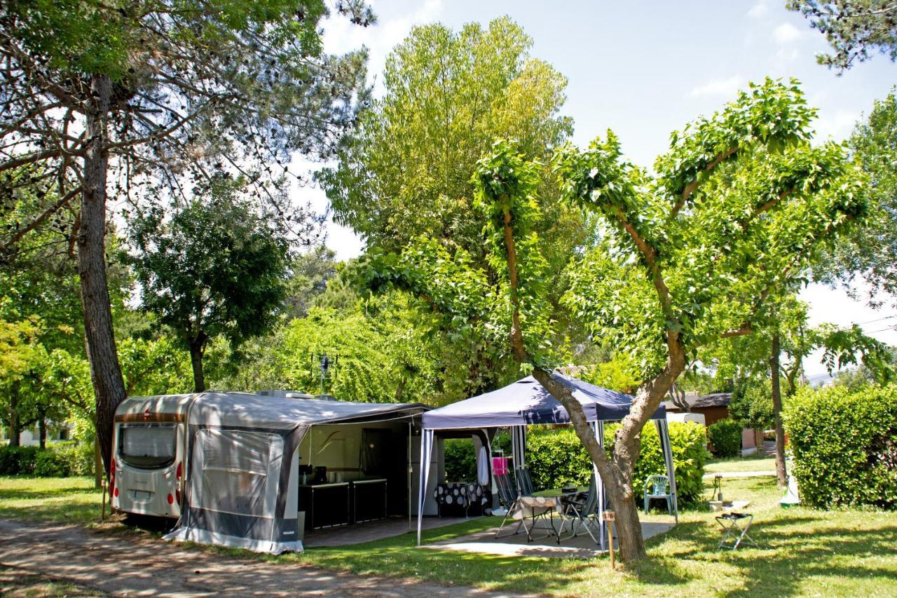 Camping Les Mimosas Hotel Pegomas Luaran gambar